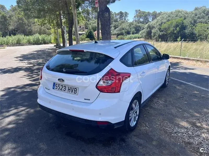 Usado Ford Focus Trend 100 CV (73 kW) 2013 Blanco Berlina