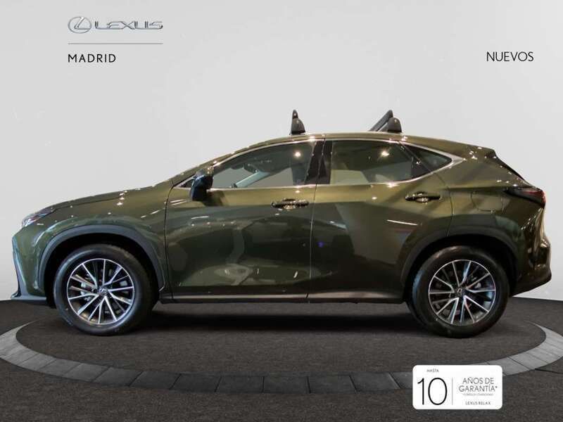 Nuevo Lexus NX350h 242 CV (177 kW) 2025 Verde SUV