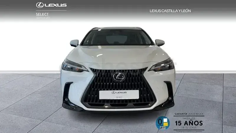 Usado Lexus NX450h+ 306 CV (225 kW) 2025 Blanco SUV