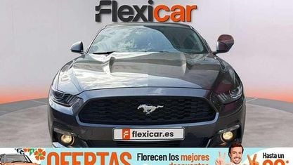 Brugt Ford Mustang Fastback 314 HK (230 kW) 2017 Grå Coupe
