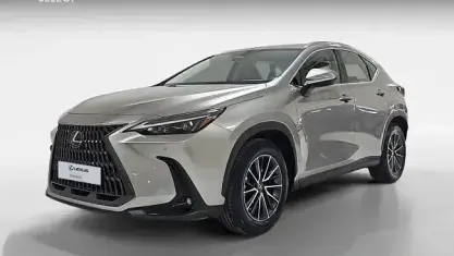 Usado Lexus NX350h Business Edition 242 CV (177 kW) 2023 Gris SUV