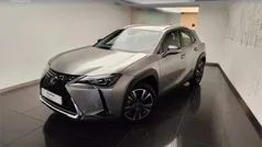 Otro Usado 2021 Lexus UX SUV | 26.900 € (Buen precio)