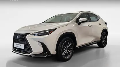 Usado Lexus NX350h Business Edition 242 CV (177 kW) 2023 Blanco