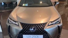 Gris Usado 2023 Lexus UX 250h Business Edition SUV | 39.600 €
