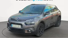 Gris Usado 2019 Citroën C4 Cactus Origins Utilitario | 11.810 € (Precio justo)