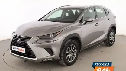 Usado Lexus NX300h Business Edition 197 CV (144 kW) 2019 Gris SUV