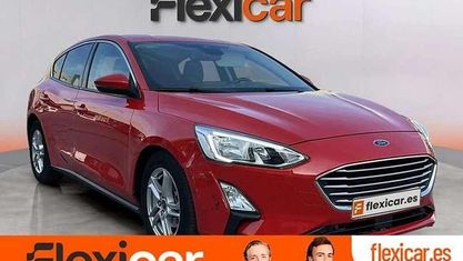 Usado Ford Focus Active 120 CV (88 kW) 2019 Rojo Utilitario