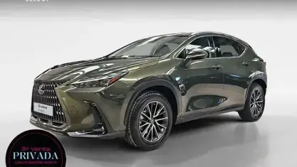 Usado Lexus NX350h Business Edition 242 CV (177 kW) 2022 Verde SUV