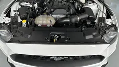 Usado 2019 Ford Mustang Fastback | 37.900 € (Un poco caro)