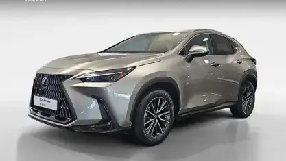 Usado Lexus NX350h Business Edition 242 CV (177 kW) 2022 Gris