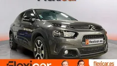 Gris Usado 2018 Citroën C4 Cactus Shine Utilitario | 11.990 € (Precio justo)