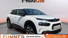 Usado 2019 Citroën C4 Cactus PureTech Utilitario | 10.290 € (Buen precio)