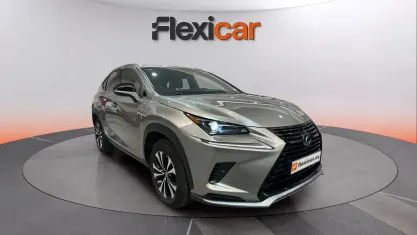 Usado Lexus NX300h Business Edition 197 CV (144 kW) 2021 Gris SUV