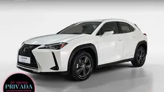 Blanco Usado 2021 Lexus UX Business Edition SUV | 28.995 € (Precio justo)