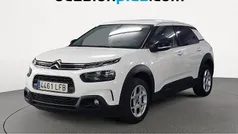 Usado 2020 Citroën C4 Cactus Shine Utilitario | 12.719 € (Precio justo)