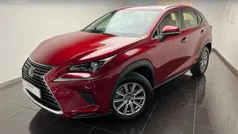 Rojo Usado 2020 Lexus NX300h Business Edition SUV | 30.900 € (Precio justo)