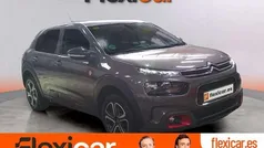 Gris Usado 2020 Citroën C4 Cactus Utilitario | 14.090 € (Precio justo)