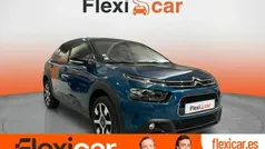 Verde Usado 2019 Citroën C4 Cactus PureTech Utilitario | 11.990 € (Precio justo)