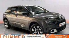 Gris Usado 2019 Citroën C4 Cactus PureTech Utilitario | 12.490 € (Precio justo)