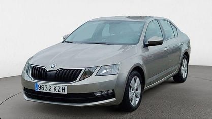 Occasion Skoda Octavia Ambition 116 PK (85 kW) 2019 Beige Sedan