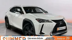 Blanco Usado 2021 Lexus UX Business Edition SUV | 25.290 € (Precio justo)