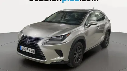 Usado Lexus NX300h Business Edition 197 CV (144 kW) 2018 Gris SUV