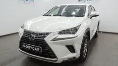 Blanco Usado 2018 Lexus NX300h Business Edition SUV | 26.995 € (Precio justo)