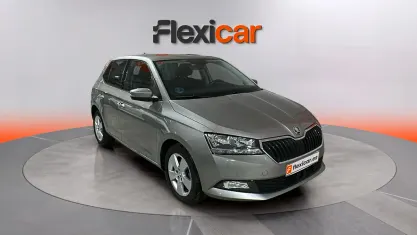 Usado Skoda Fabia Active 95 CV (69 kW) 2019 Beige Utilitario