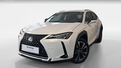 Occasion Lexus UX 250h 184 PK (135 kW) 2022 Wit SUV