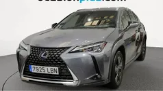 Usado 2019 Lexus UX 250h Business Edition SUV | 19.000 € (Super precio)