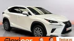 Usado 2019 Lexus NX300h Business Edition SUV | 26.490 € (Precio justo)