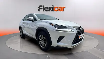 Usado Lexus NX300h Business Edition 197 CV (144 kW) 2020 SUV
