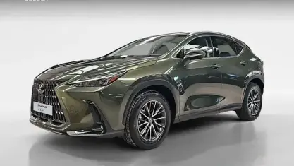 Usado Lexus NX350h Business Edition 242 CV (177 kW) 2022 Verde SUV
