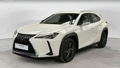 Blanco Usado 2020 Lexus UX Business Edition SUV | 26.450 € (Precio justo)