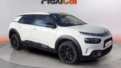 Usado 2019 Citroën C4 Cactus Feel Utilitario | 10.990 € (Buen precio)