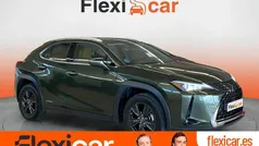 Verde Usado 2020 Lexus UX Business Edition SUV | 25.990 € (Precio justo)
