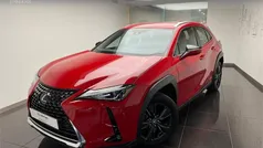 Usado 2021 Lexus UX Business Edition SUV | 25.900 € (Super precio)