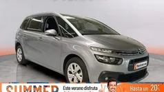 Gris Usado 2019 Citroën C4 Feel | 11.490 € (Buen precio)