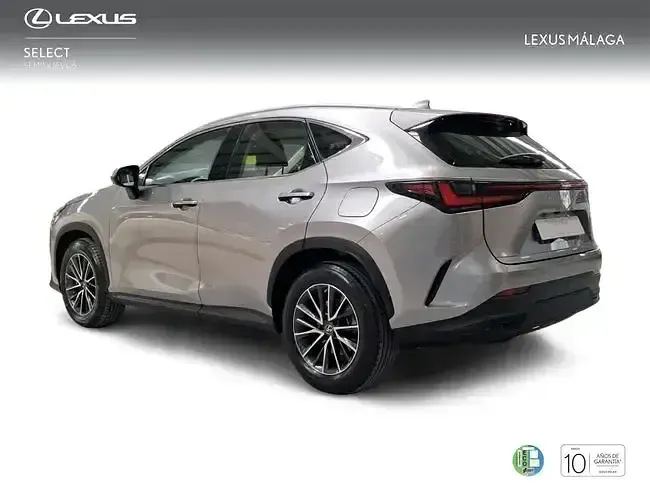 Usado Lexus NX350h Business Edition 242 CV (177 kW) 2022 Gris SUV