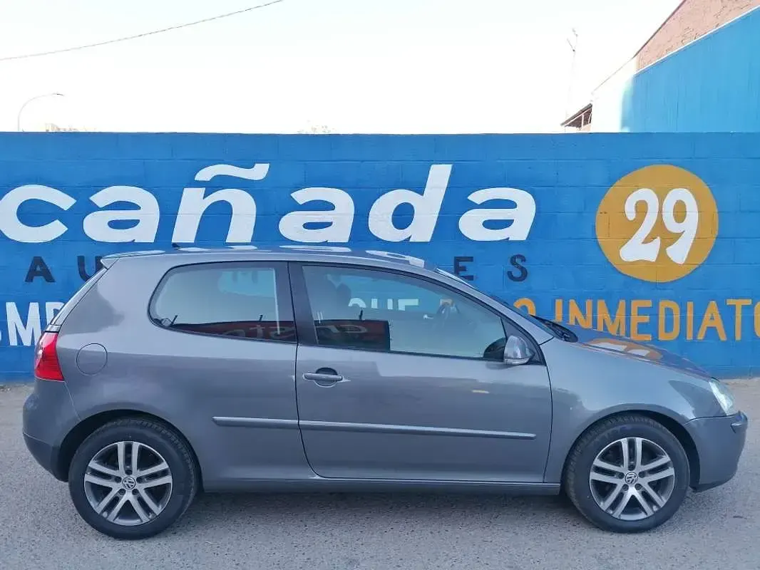 Usado VW Golf IV Trendline 102 CV (75 kW) 2006 Gris Utilitario