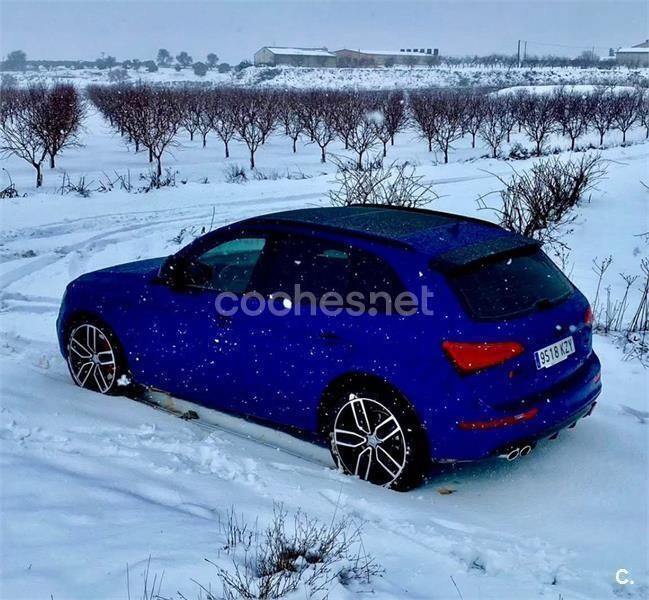 Azul Usado 2016 Audi SQ5 Competition SUV | 13.000 € - Imagen 1/2