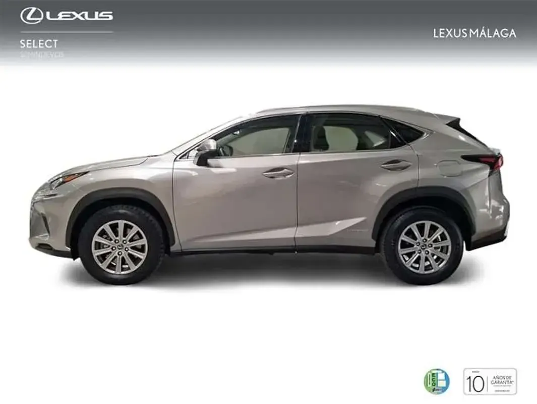Usado Lexus NX300h Business Edition 197 CV (144 kW) 2021 Gris SUV