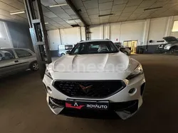 Blanco Usado 2021 Cupra Formentor SUV | 26.900 € (Un poco caro)
