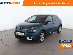 Verde Usado 2019 Citroën C4 Cactus Feel Utilitario | 11.899 € (Un poco caro)