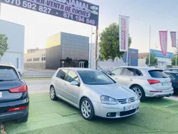 Gris Usado 2005 VW Golf IV Sportline Utilitario | 4499 € (Precio justo)