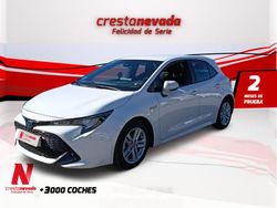 Usado 2020 Toyota Corolla Business Edition | 18.682 € (Precio justo)