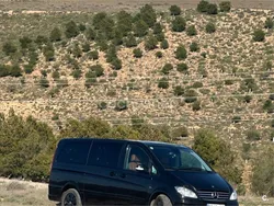 Negro Usado 2009 Mercedes Viano Monovolumen | 17.900 € (Precio justo)