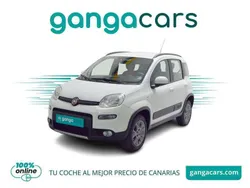 Blanco Usado 2014 Fiat Panda 4x4 Lounge Utilitario | 9990 € (Caro)