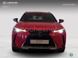 Rojo Usado 2021 Lexus UX Business Edition SUV | 26.500 € (Precio justo)