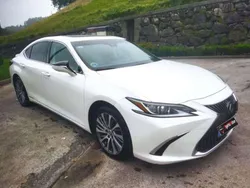 Blanco Usado 2019 Lexus ES300 Executive Line Berlina | 23.900 € (Precio justo)